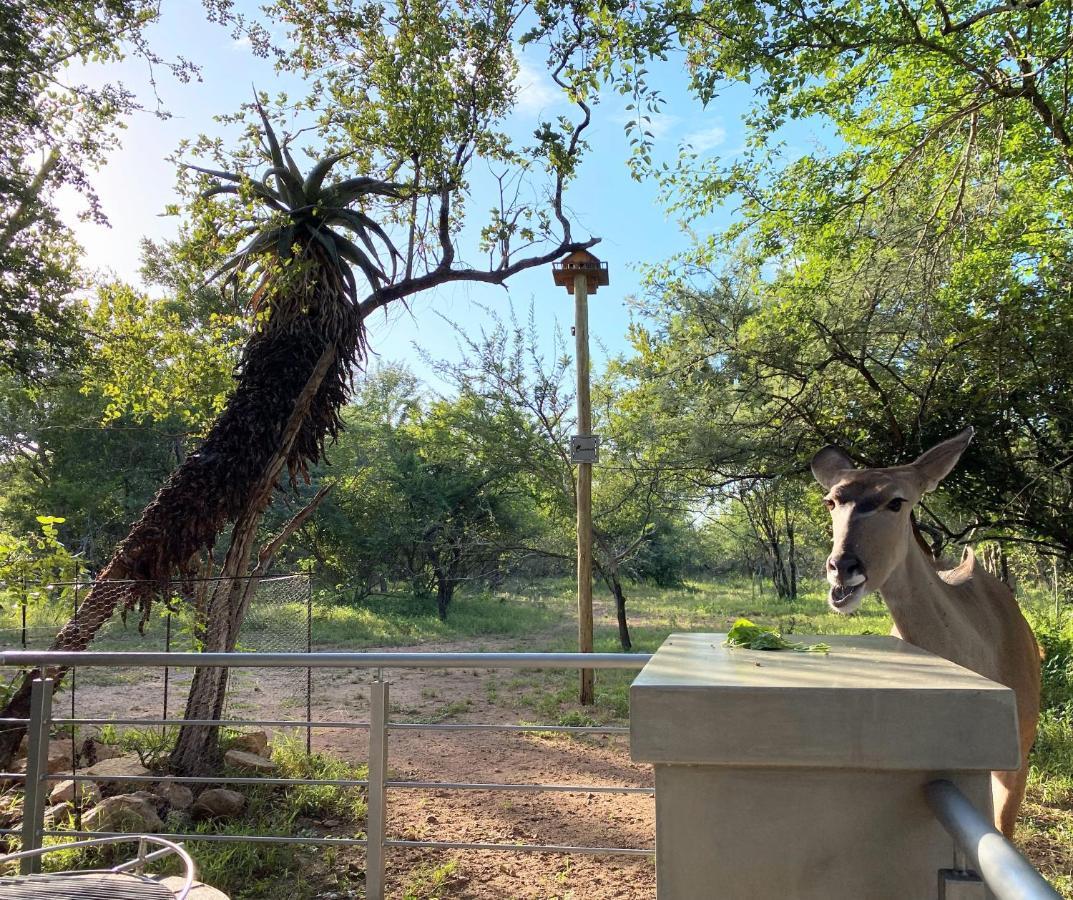 Kruger'S Keep - Luxury Couples Haven Villa Marloth Park Eksteriør billede